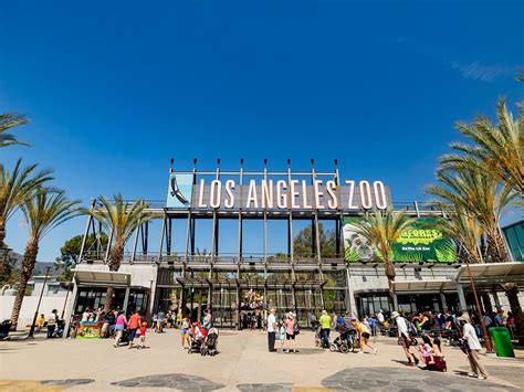 Los Angeles Zoo Öffnungszeiten Adresse Tickets Informationen