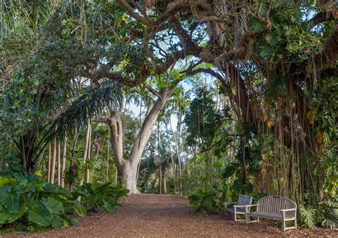 Fairchild Botanic Tropical Garden In Miami Florida Vacation Auction