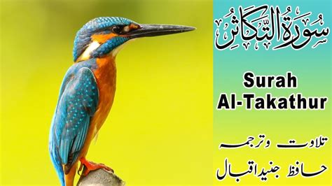 Tilawat Surah Al Takasur By Hafiz Junaid Sarfraz Arabic Text And Urdu
