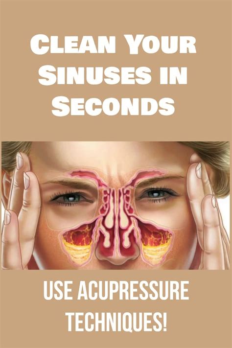 Clean Your Sinuses In Seconds Use Acupressure Techniques Nature