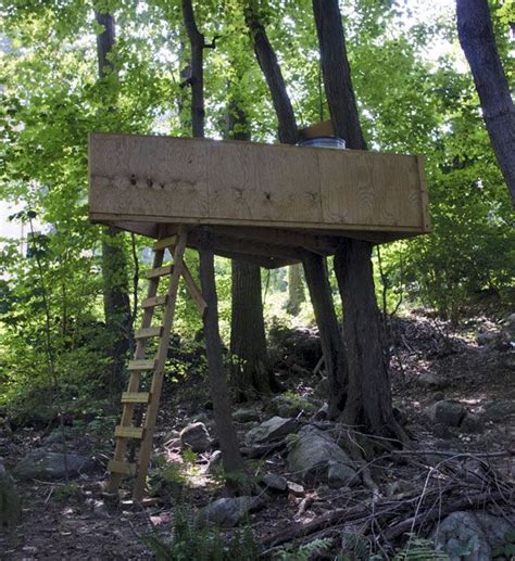 Check spelling or type a new query. Commission to take closer look at tree forts | Citizen's ...
