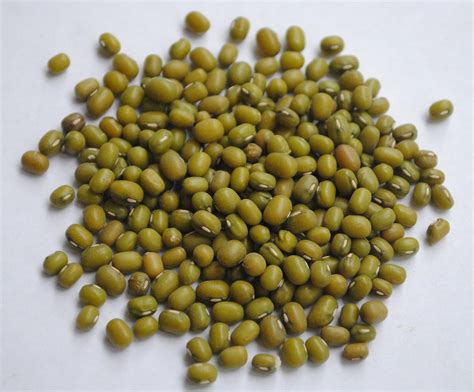 Mung Beans Health Benefits — Be Mind Body Skin