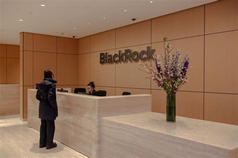 Blackrock Hires Coller Executive To Co Head Secondary Team Wsj
