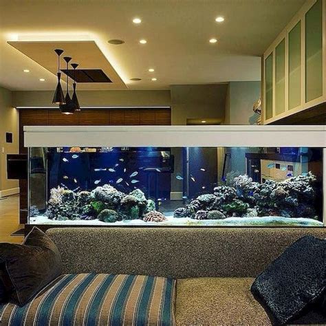 Are You An Aquarist Here Are Some Aquarium Ideas For Living Room To