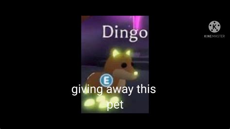 Neon Dingo Adopt Me Youtube