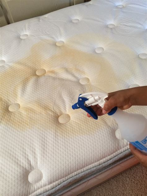 Cleaning Urine From Mattress How To Clean Pee And Stains Off A Mattress