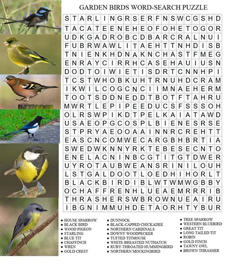 Puzzle Garden Birds Free Word Search Puzzle Anino