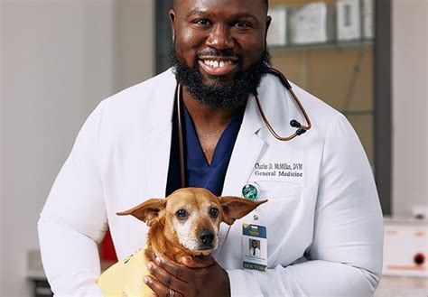 Veterinarian Launching Chain Of Atlanta Area Veterinary Hospitals The
