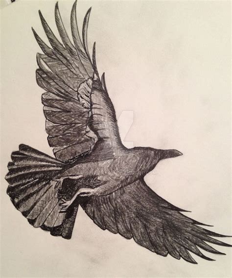 Https://tommynaija.com/draw/how To Draw A Crow Flying