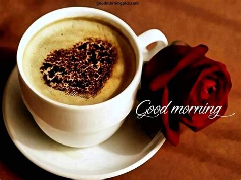 A beautiful cup of coffee is always brighten mood in morning, if you are a serious coffee drinker then you would know what it means to live a day without coffee. Good morning Coffee Quotes with Pictures - Freshmorningquotes