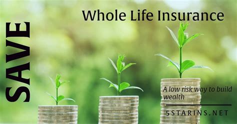 Savings Tip Using A Life Policy To Build Wealth