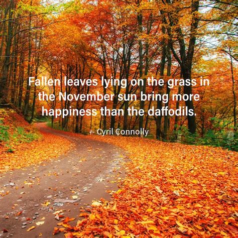 113 November Quotes To Reflect On Autumns Blessings
