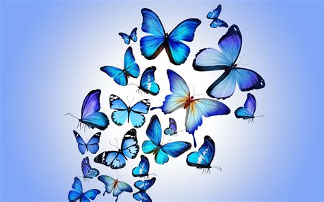Butterfly Art Hd Artist 4k Wallpapers Images Backgrounds Photos