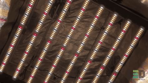 Official led grow light review. Grower's Choice ROI-E680 LED Grow Light Review — My Indoor ...