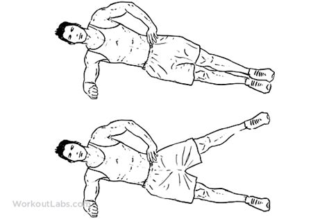 Side Plank Leg Raises Workoutlabs Exercise Guide