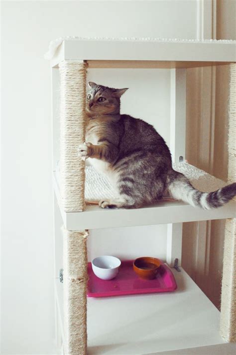 10 Brilliant Ikea Hack For Your Cats Homemydesign