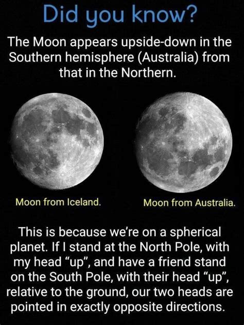 Printable Facts About The Moon