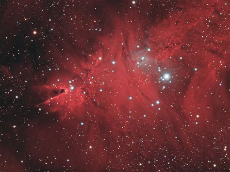 The Christmas Tree Cluster And Cone Nebula Ngc 2264 In Hargb
