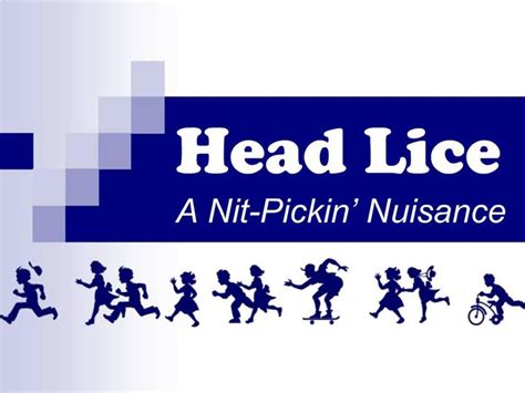 Ppt Head Lice A Nit Pickin Nuisance Powerpoint Presentation Free