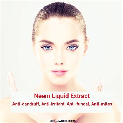 Neem Liquid Extract Premium Quality 100m At Rs 260kg नीम