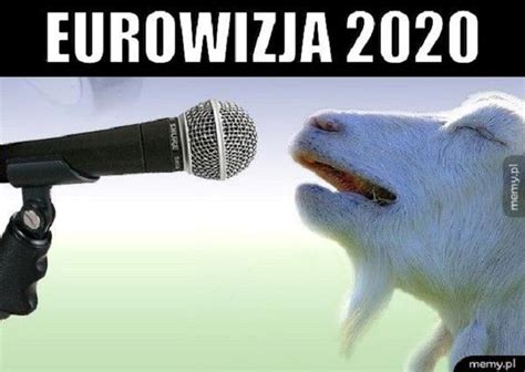 ˈɕlɔ̃sk ˈvrɔt͡swaf), polonya'nın wrocław şehrinde 1947 yılında kurulmuş profesyonel futbol kulübü. Eurowizja 2018 - najlepsze memy i żarty obrazkowe - ESKA.pl