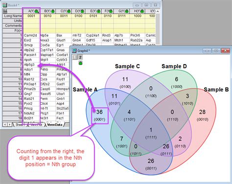 38 How To Make A Venn Diagram In Excel Wiring Diagram
