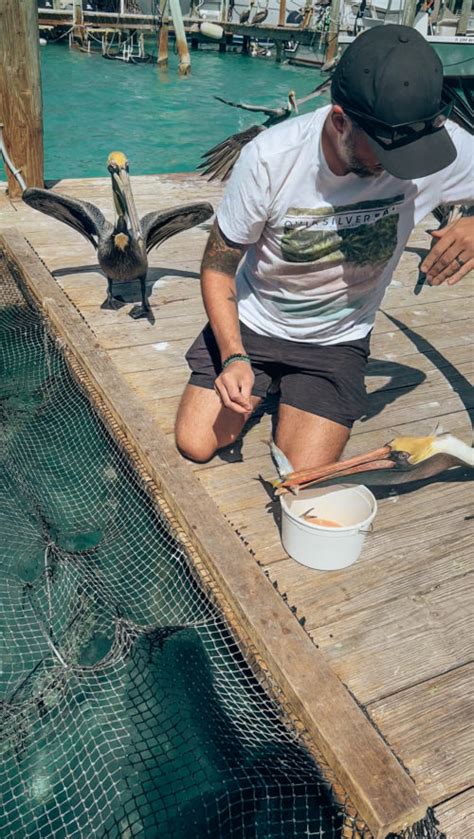 7 Ways To Experience Florida Keys Marine Life Smilkos Lens