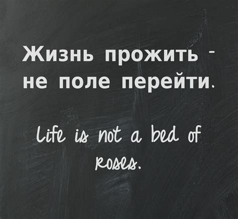 25 love quotes in russian with translation akaino kuchibiru