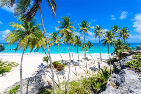 Bottom Bay Barbados Paradise Beach On The Caribbean Island Of Barbados Tropical Coast With