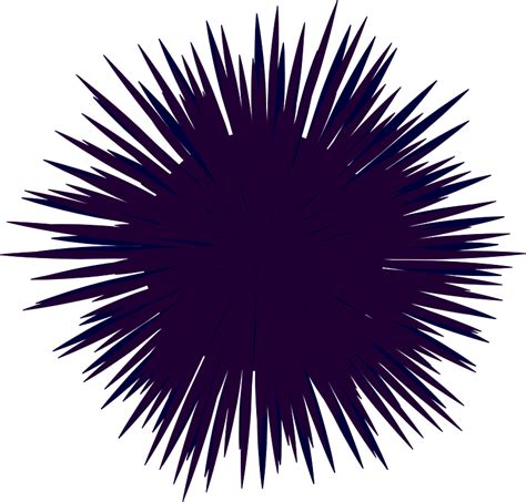 Sea Urchin Clipart Free Download Transparent Png Creazilla