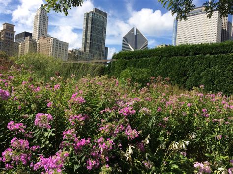 Wednesday At The Lurie With Piet Gardeninacity