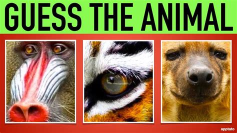 Guess The Animal Quiz 3 Name All The Animals By Closeup Guessing