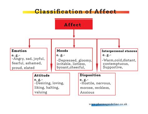 What Is The Difference Between Affect And Effect