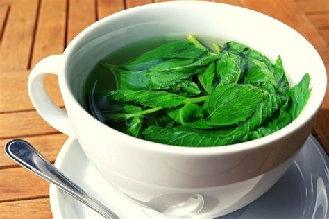 8 Best Teas For Relieving Constipation Naturally