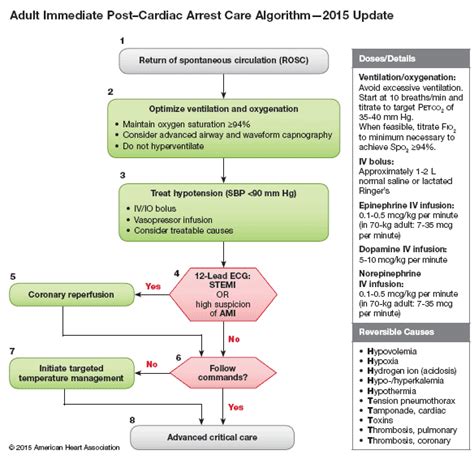 Acls Guidelines 2015 Update Adult Immediate Post Cardiac Arrest Care