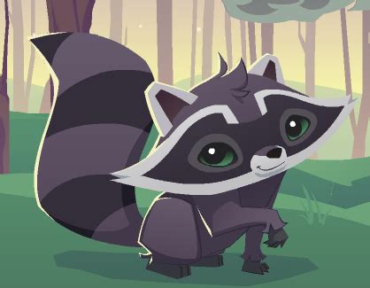 Animal jam video game illustrations & cartoons drawing lessons and step by step drawing tutorials for drawing them. Raccoon | Animal Jam Wiki | Fandom powered by Wikia