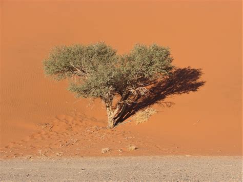 Namibia Pustynia Namib Ciekawostki Turystyczne Travel Around The World