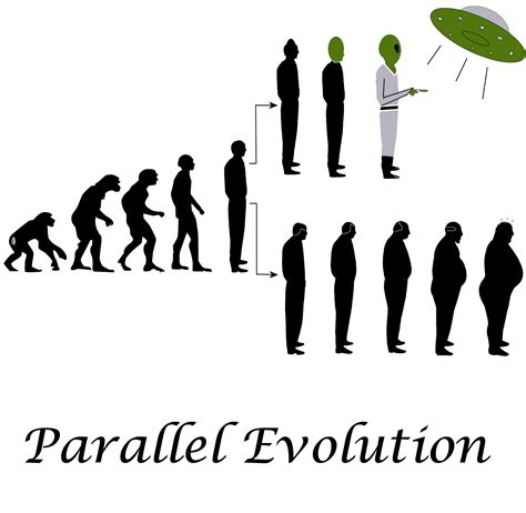 Patterns Of Evolution Types Of Evolution Overall Science