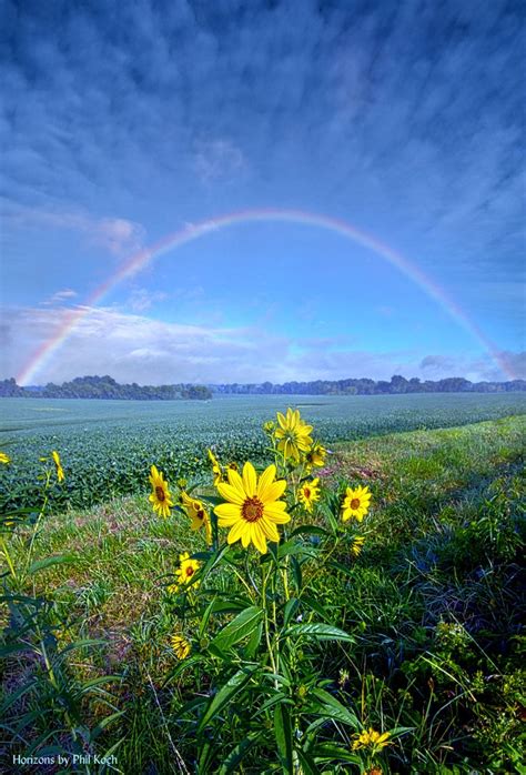 The Covenant Wisconsin Horizons By Phil Koch Htt Phil Koch