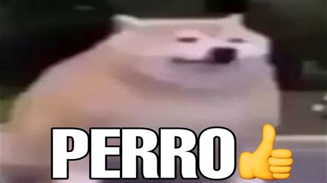 Perro 👍 Rshitposting