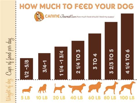 Fill your cart with color today! 17 Best images about Dog Infographics on Pinterest | Dog ...