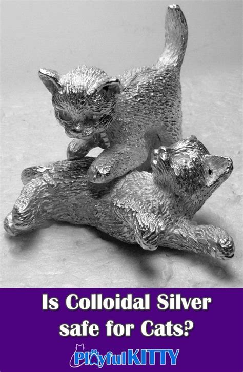 Would colloidal silver take care of it within 10 days? Pin on Cat Care