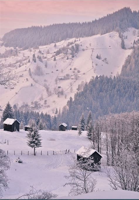 Photo By Sorin Untu Winterwonderland Amazing View From Romania Winter