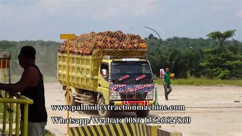 A palm oil mill produces crude palm oil, crude palm kernel oil and other biomass from fresh fruit bunches. Palm oil manufacturing process in commercial palm oil mill ...