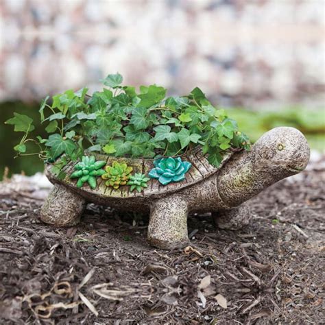 Succulent Garden Turtle Planter