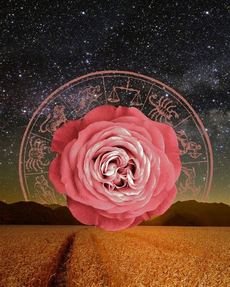 Your Special Fall Equinox 2020 Horoscope Is Here Cbc Life In 2023