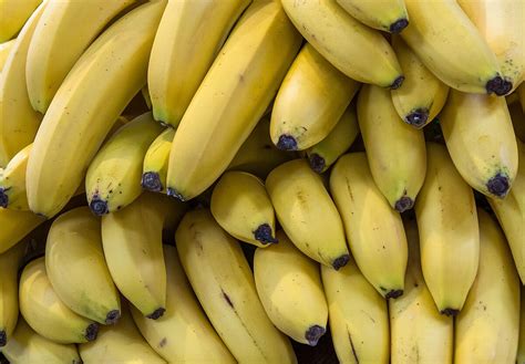 Wirtschaft: Obst-Irrsinn: Warum Bananen aus Ecuador gerade günstiger ...