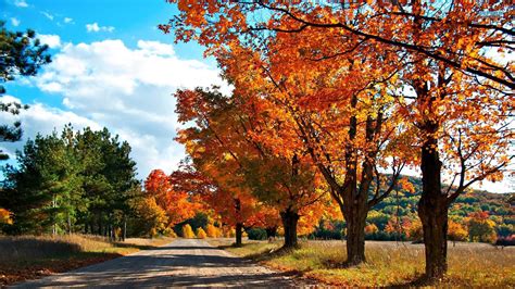 Country Road Golden Autumn Landscape Wallpaper 1920x1080
