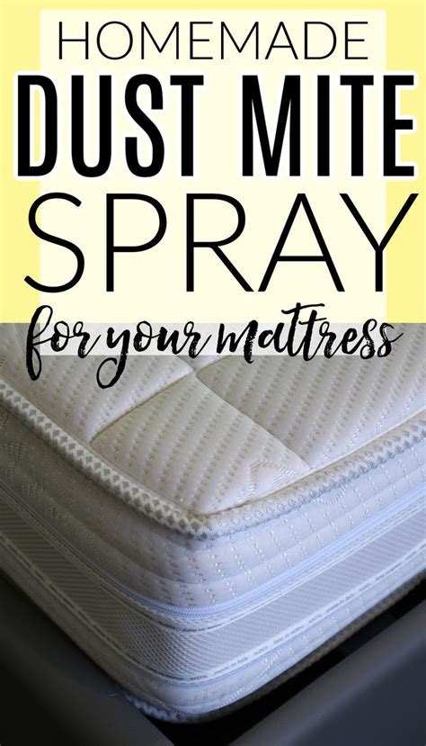 Dealing With Dust Mites In Your Mattress Check Out How To Make This