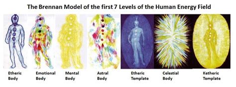 We Are Energy The Brennam Model Of The First 7 Levels Of The Human